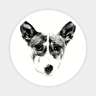 African Barkless Dog gift for Basenji Owners Magnet